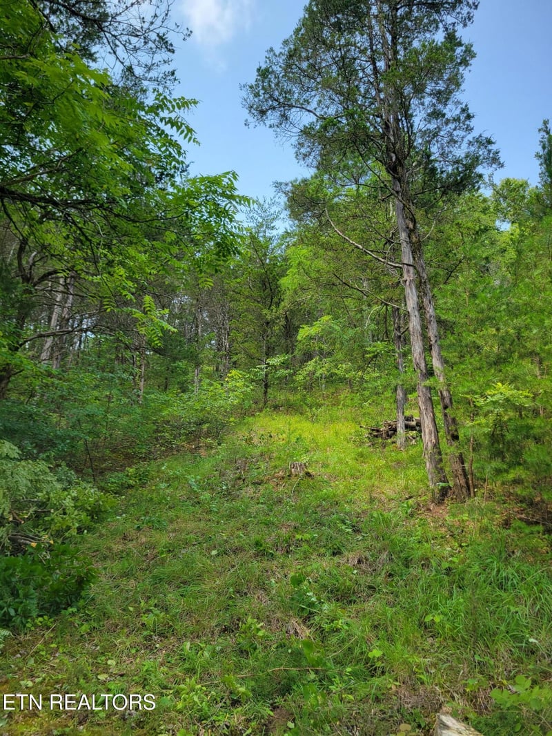 Lot 18 Bay View Point, Sevierville, TN 37876