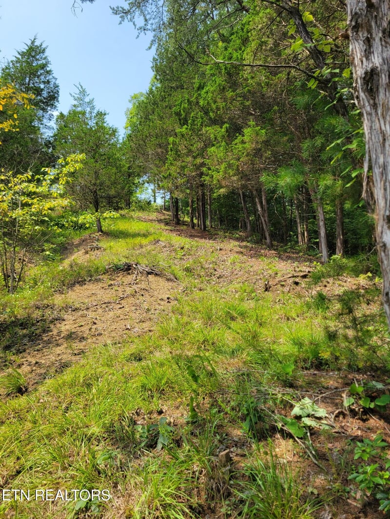 Lot 18 Bay View Point, Sevierville, TN 37876