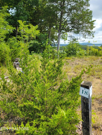 Lot 18 Bay View Point, Sevierville, TN 37876