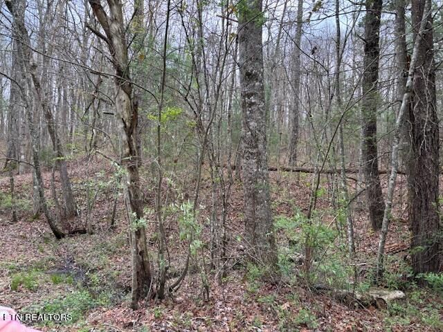 Lot 18 Bear Rd, Tallassee, TN 37878