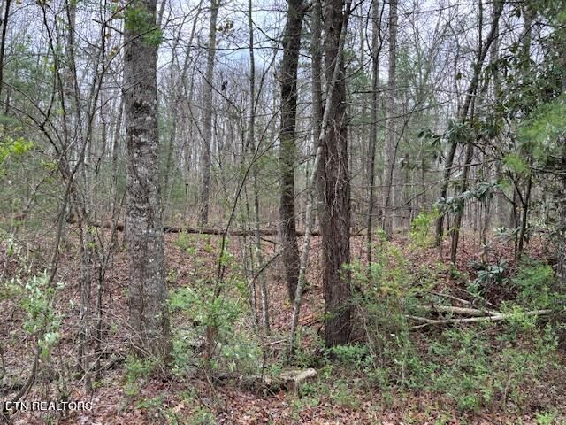 Lot 18 Bear Rd, Tallassee, TN 37878