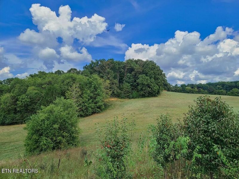 Lot 18 Bentview Dr, Kodak, TN 37764