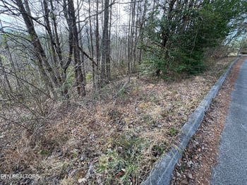 Lot 18 Katelyns Ln, Sevierville, TN 37862