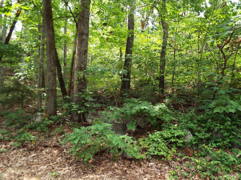 Lot 18 Quail Way, Sevierville, TN 37862
