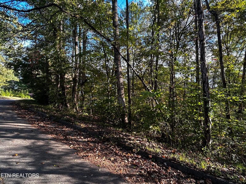 Lot 18 Revere Ave, Clinton, TN 37716