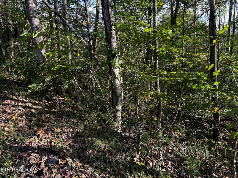Lot 18 Revere Ave, Clinton, TN 37716