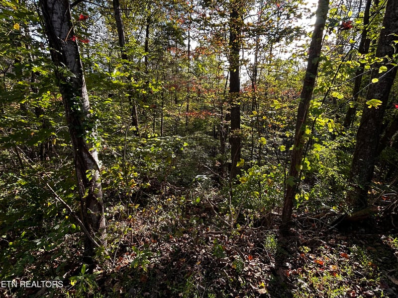 Lot 18 Revere Ave, Clinton, TN 37716