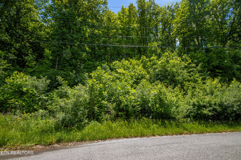 Lot 18 Saddleridge, Speedwell, TN 37870