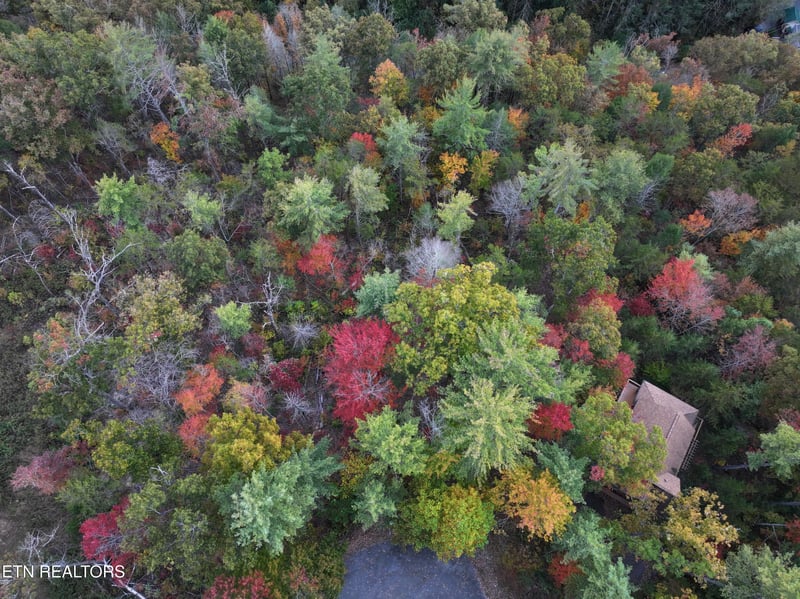 Lot 18 Turkey Creek Way, Sevierville, TN 37862
