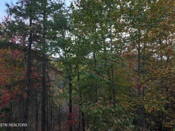 Lot 18 Turkey Creek Way, Sevierville, TN 37862