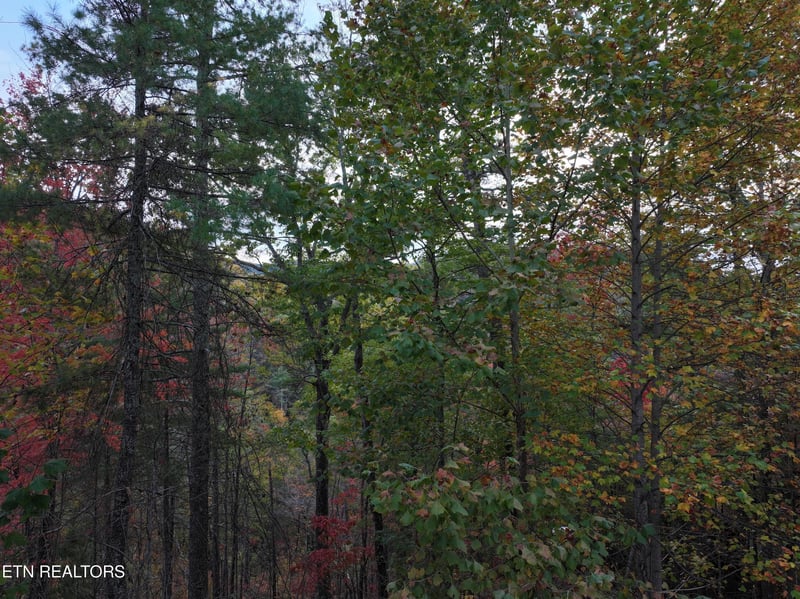 Lot 18 Turkey Creek Way, Sevierville, TN 37862