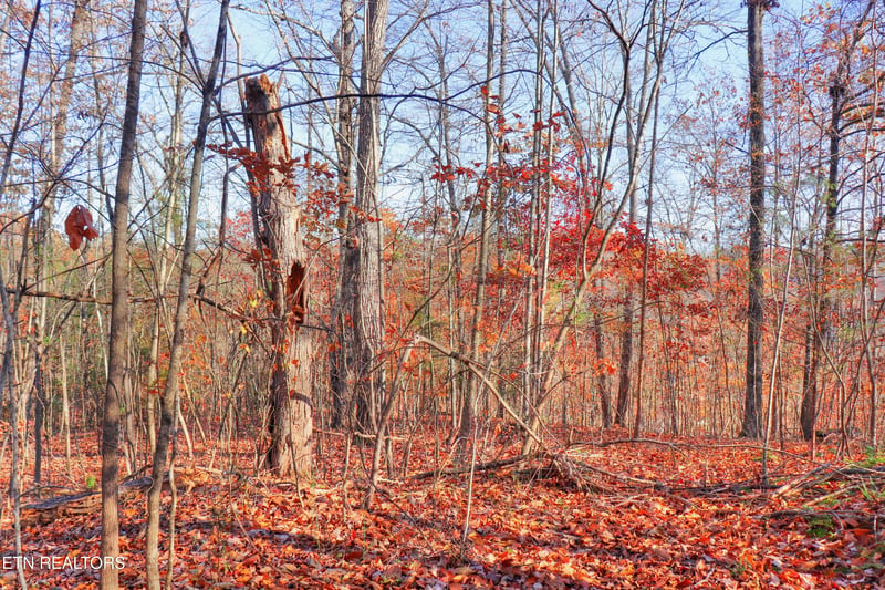 Lot 190 Hickory Way, Lafollette, TN 37766