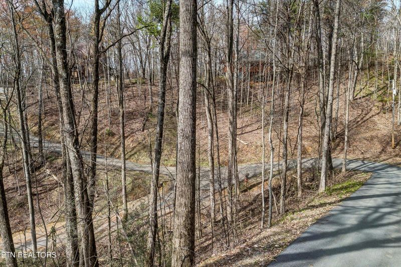 Lot 194A Ski View Ln, Sevierville, TN 37876