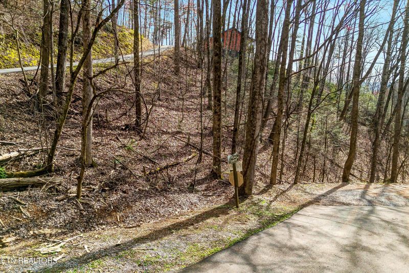 Lot 194A Ski View Ln, Sevierville, TN 37876