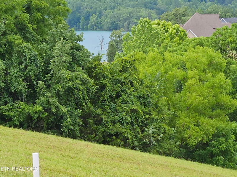 Lot 197 Captains Cv, Sharps Chapel, TN 37866