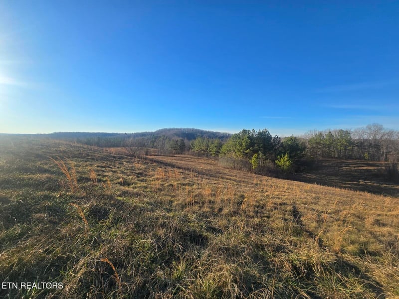 Lot 1C Honey Creek Rd, Robbins, TN 37852