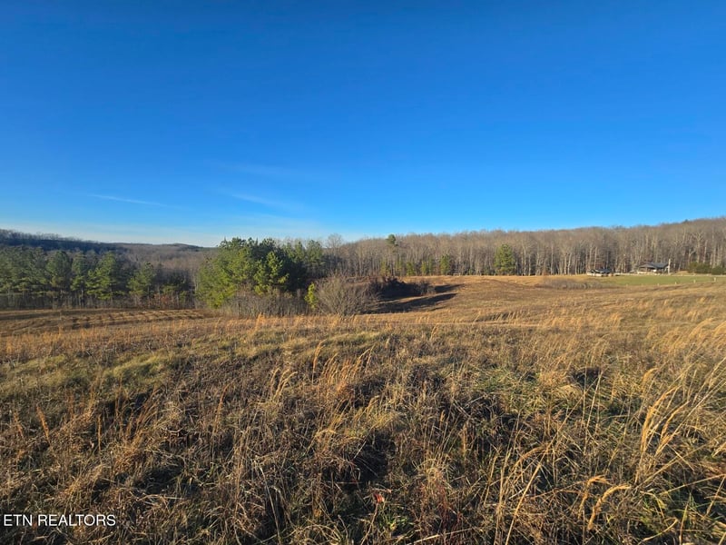 Lot 1C Honey Creek Rd, Robbins, TN 37852