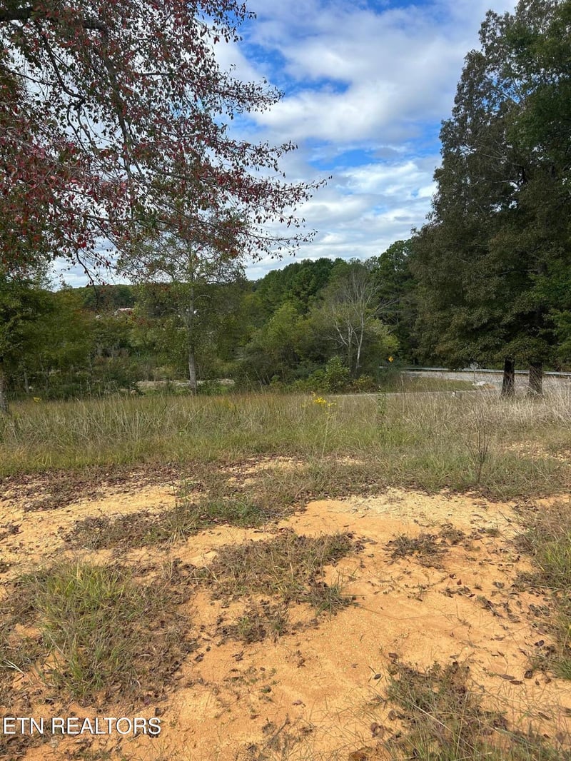 Lot 2 A Highway 39, Athens, TN 37303