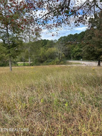 Lot 2 A Highway 39, Athens, TN 37303