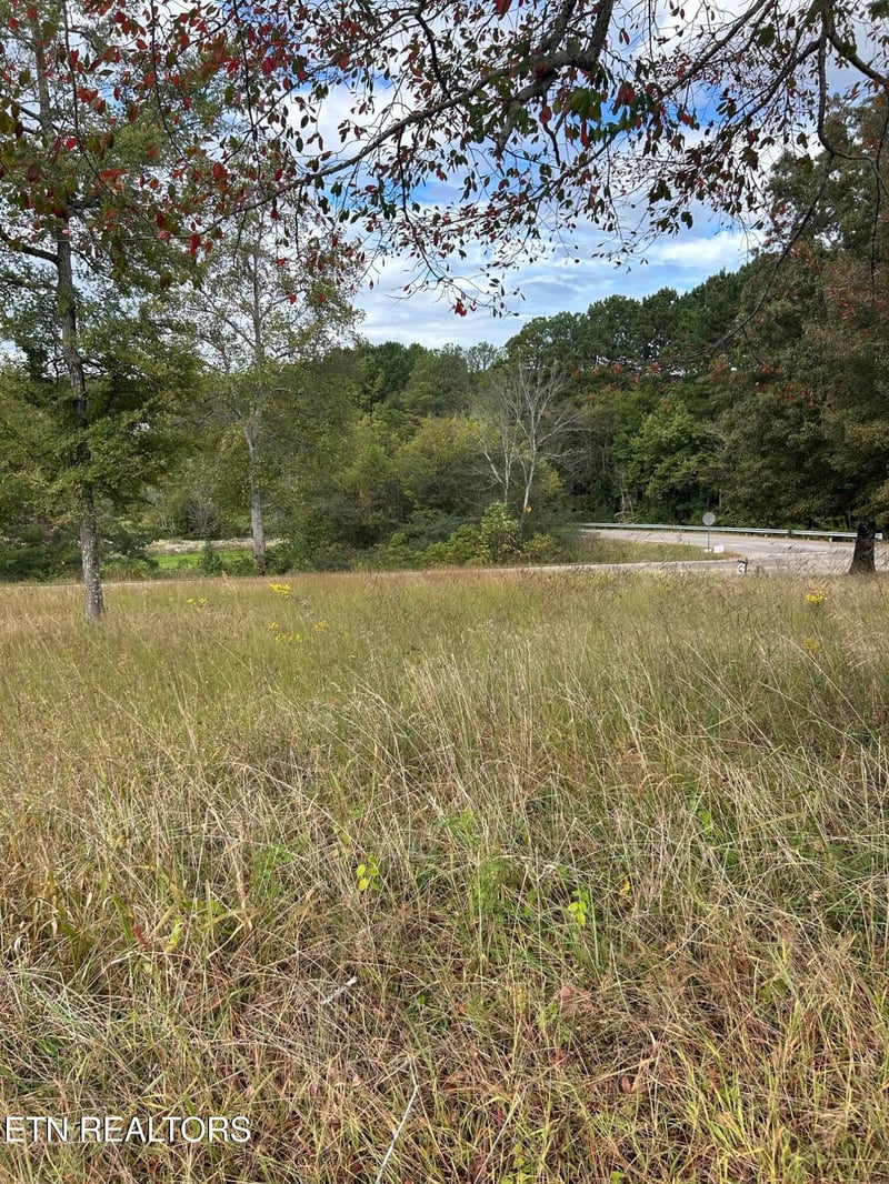 Lot 2 A Highway 39, Athens, TN 37303