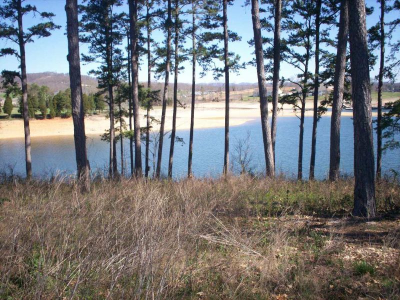 Lot 2-A1 Peninsula Pointe, Rutledge, TN 37861