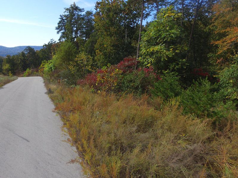 Lot 2 Bayside Dr, Bean Station, TN 37708