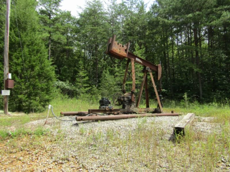 Lot 2 Bill Roberts Rd, Sunbright, TN 37872