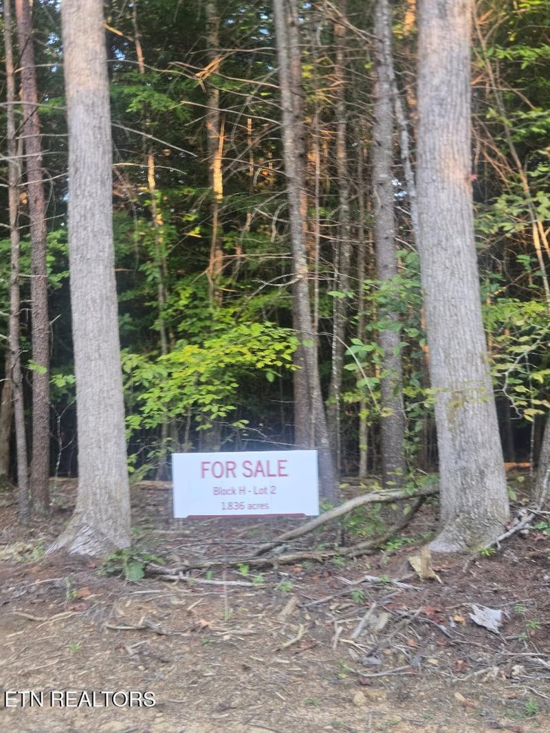 Lot 2 Bk H Ravenwood Dr, Wartburg, TN 37887