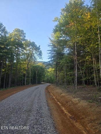 Lot 2 Bk I Ravenwood Dr, Wartburg, TN 37887