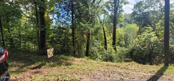 Lot 2 Cove Mtn Ln, Sevierville, TN 37868