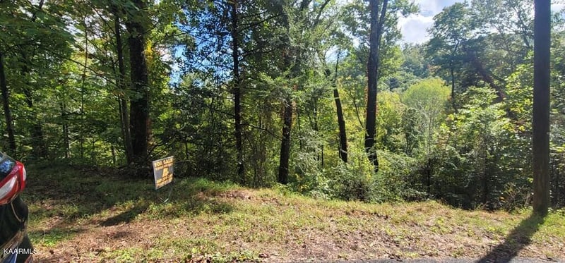 Lot 2 Cove Mtn Ln, Sevierville, TN 37868