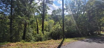 Lot 2 Cove Mtn Ln, Sevierville, TN 37868
