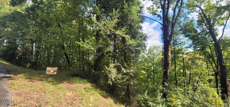Lot 2 Cove Mtn Ln, Sevierville, TN 37868
