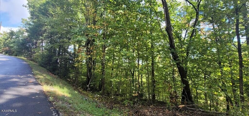 Lot 2 Cove Mtn Ln, Sevierville, TN 37868