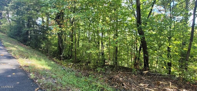 Lot 2 Cove Mtn Ln, Sevierville, TN 37868