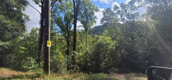 Lot 2 Cove Mtn Ln, Sevierville, TN 37868