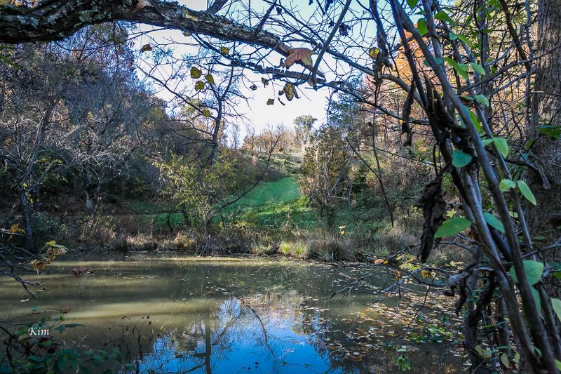 Lot 2 Dripping Springs Rd, Seymour, TN 37865