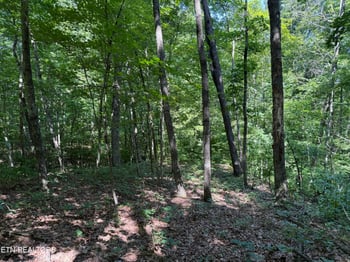 Lot 2 E Cove Rd, Monterey, TN 38574