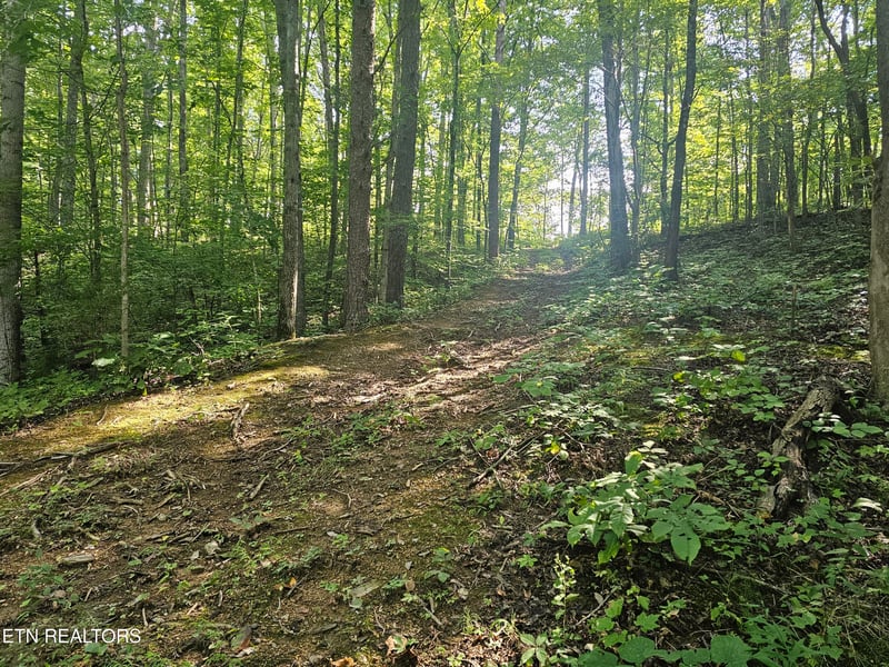 Lot 2 Franklin Way, Sevierville, TN 37876