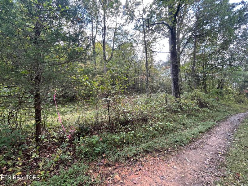Lot 2 Granite Rd, Clinton, TN 37716