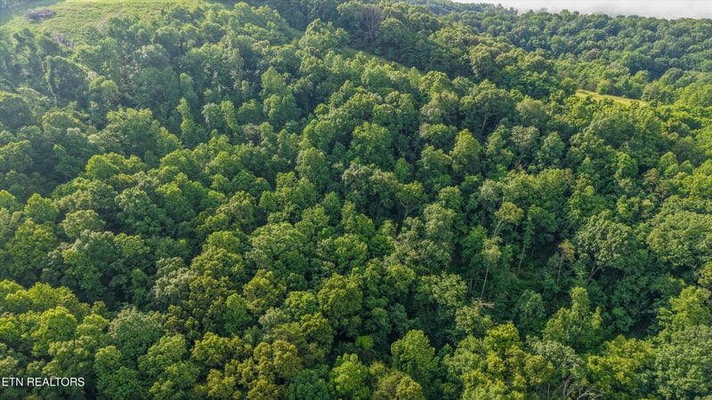 Lot 2 Graves Hollow Rd, Maynardville, TN 37807
