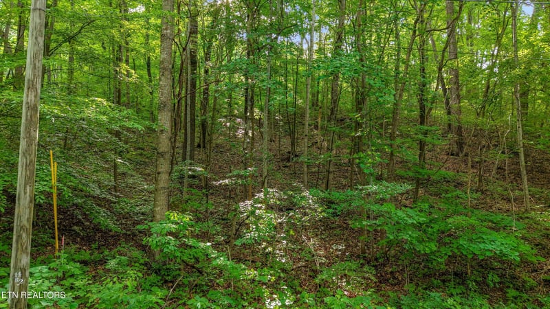 Lot 2 Graves Hollow Rd, Maynardville, TN 37807