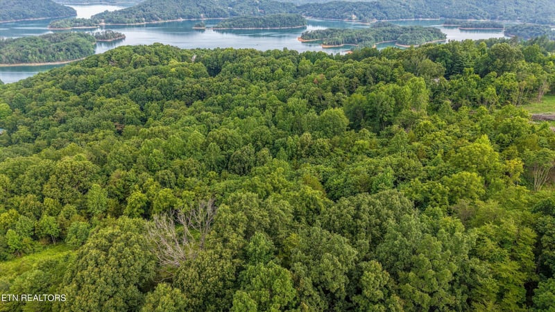 Lot 2 Graves Hollow Rd, Maynardville, TN 37807