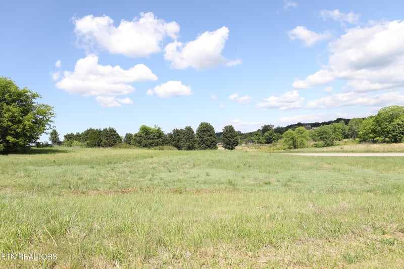 LOT 2 Magnolia Way, Madisonville, TN 37354