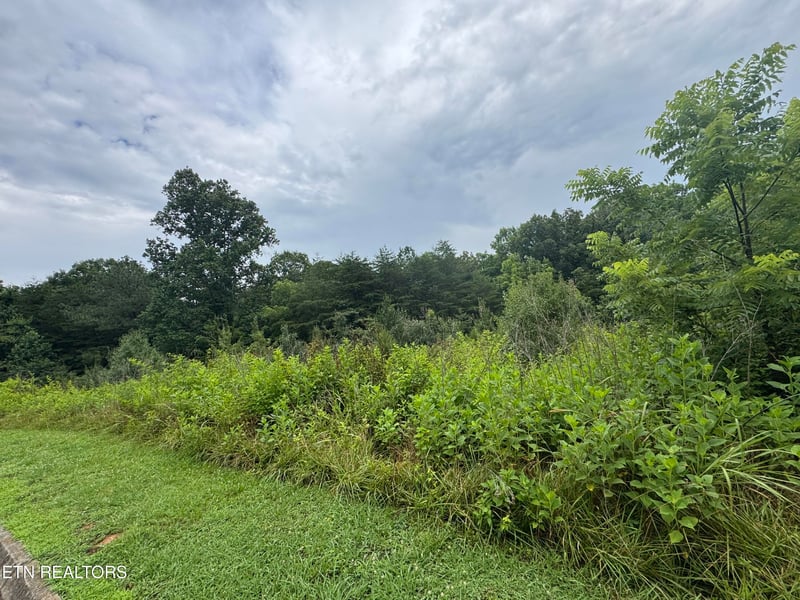Lot 2 Malea Ln, Kingston, TN 37763