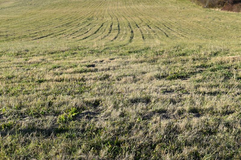Lot 2 Mccleary Rd, Sevierville, TN 37876