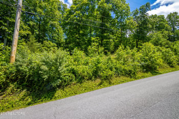 lot 2 Saddleridge, Speedwell, TN 37870