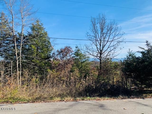 Lot 2 Sunset View Rd, Sevierville, TN 37876