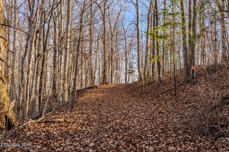 Lot 2 Unicoi Church Rd, Tellico Plains, TN 37385