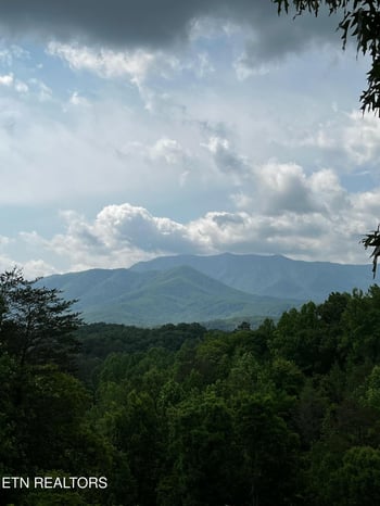 Lot 2 Vista Dr, Gatlinburg, TN 37738